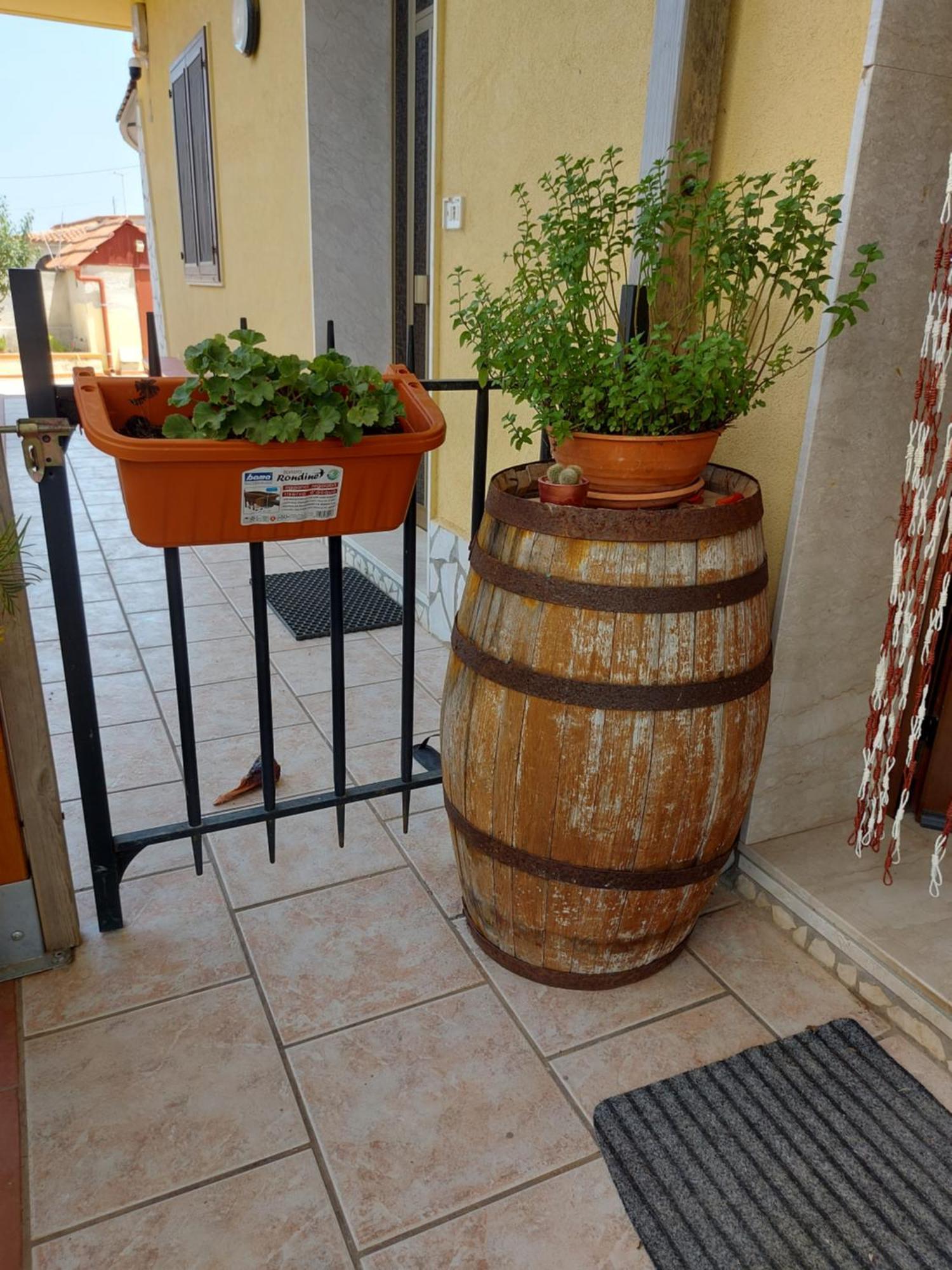 Elorina Sicily Home Сиракузы Экстерьер фото